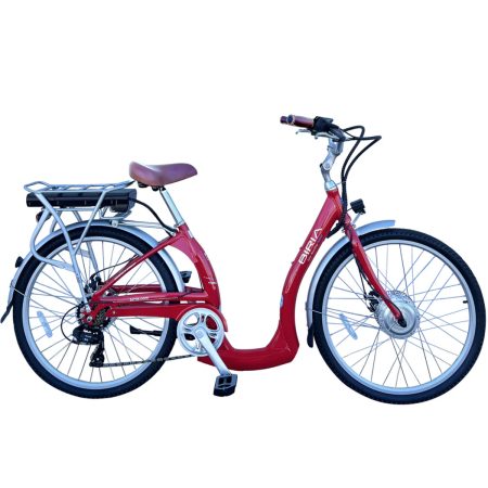 EasyStep Low-Step E-Bike