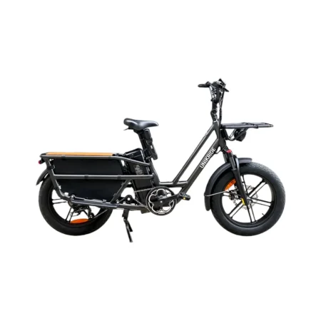 CargoCruze Longtail E-Bike